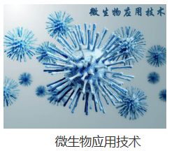 841995香港论坛资料
