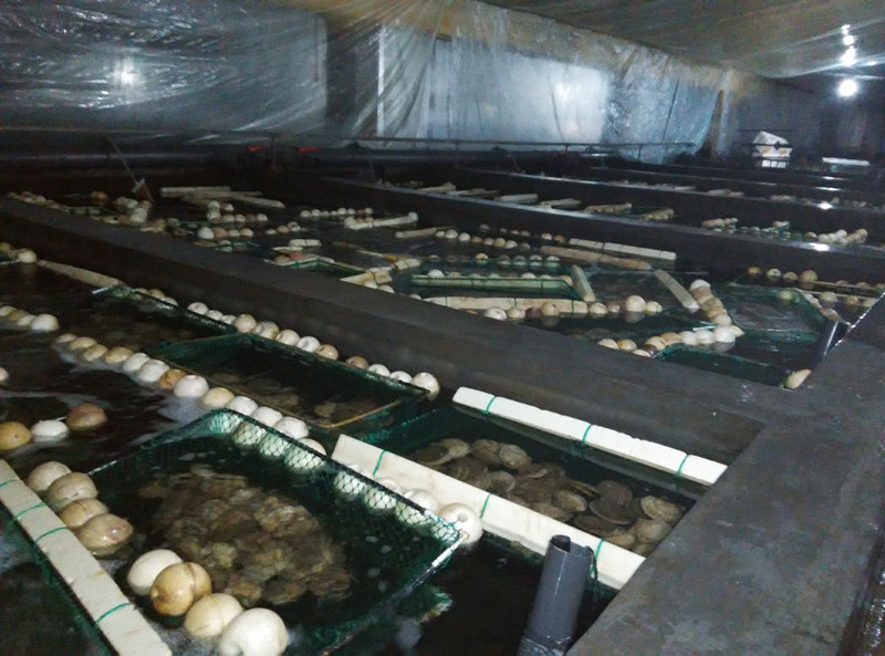 841995香港论坛资料