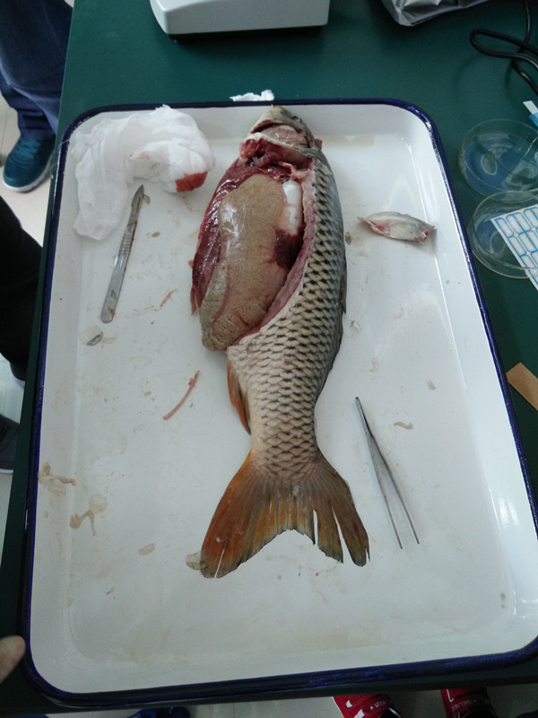 841995香港论坛资料