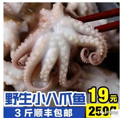 841995香港论坛资料