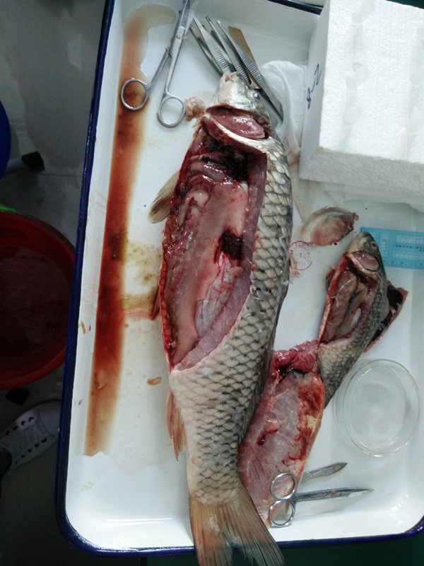 841995香港论坛资料