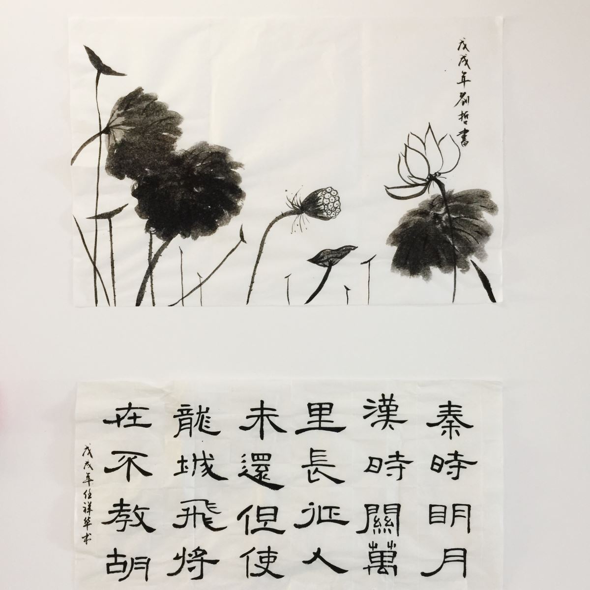 841995香港论坛资料