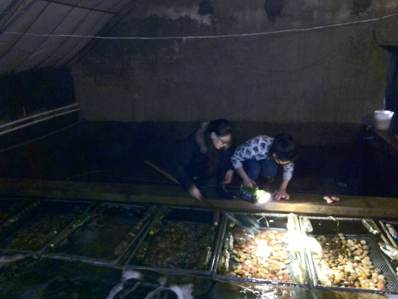 841995香港论坛资料