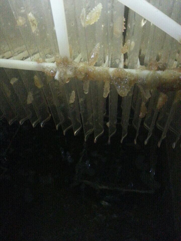 841995香港论坛资料