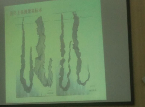841995香港论坛资料