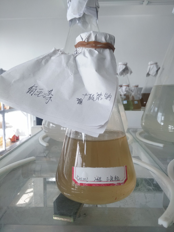 841995香港论坛资料