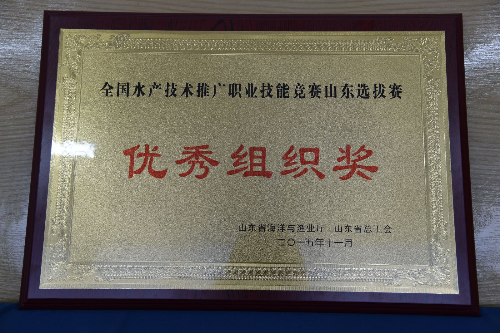 841995香港论坛资料
