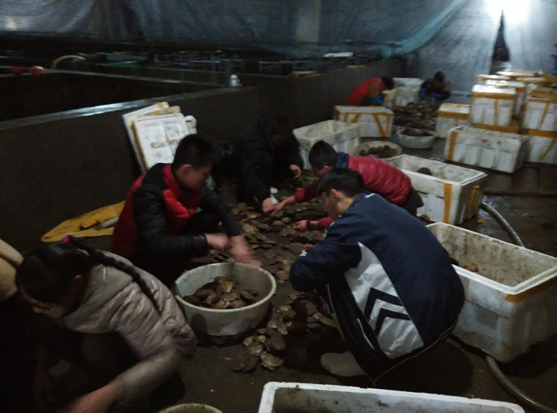 841995香港论坛资料